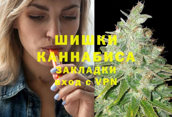 шишки Богданович