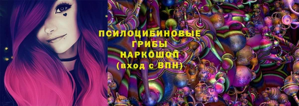шишки Богданович