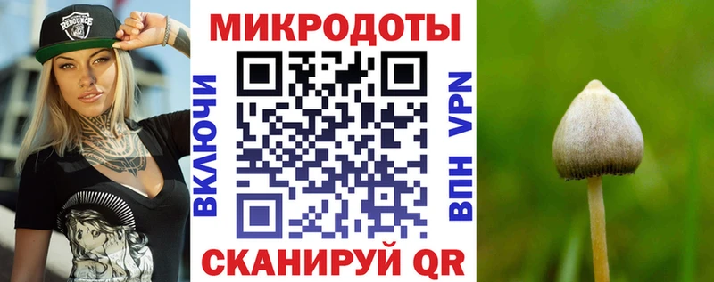 Псилоцибиновые грибы Magic Shrooms  kraken онион  Шебекино 